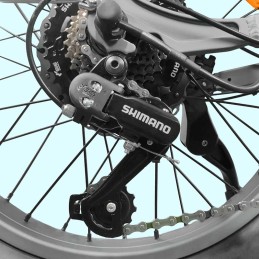 Cambio Shimano 7 marce vulcano 250 W bici elettrica 36 V