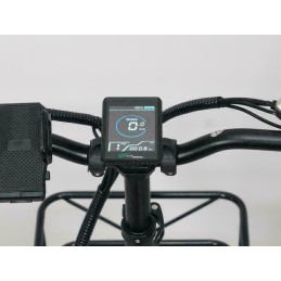 Display LCD e-bike pieghevole fat elettrica c-macewheel RX20 Max 750W doppio motore
