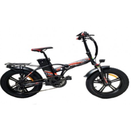 Bici elettrica Redwood Mag 250 Watt