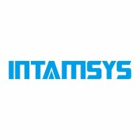 INTAMSYS | Stampa 3D Sud