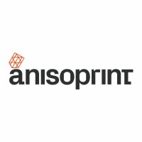 anisoprint